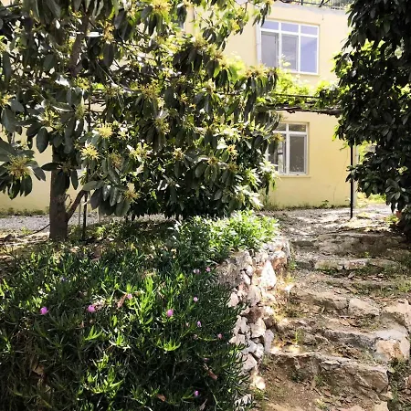 Zeytinada Ve Goezleme Albergue