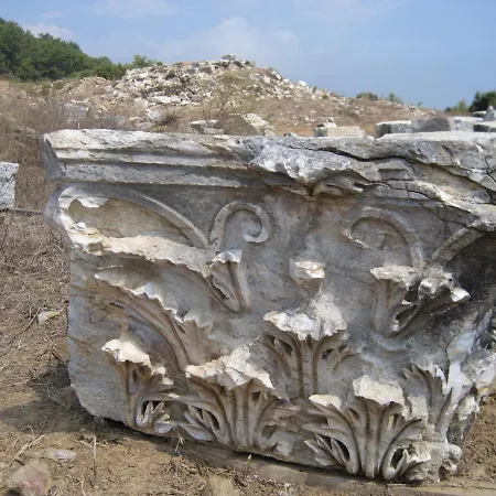 Zeytinada Ve Goezleme Albergue *
