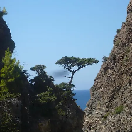 Zeytinada Ve Goezleme Albergue *